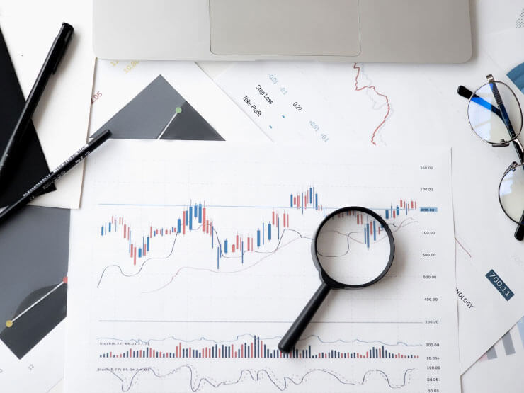 Consolidated financial reporting services in the UAE - reviewing group-level performance reports